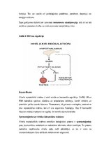 Konspekts 'Vīriešu reproduktīvās sistēmas anatomija: struktūra, funkcijas un dzimumu īpatnī', 9.