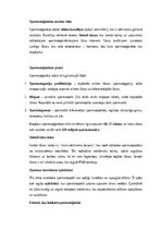 Konspekts 'Vīriešu reproduktīvās sistēmas anatomija: struktūra, funkcijas un dzimumu īpatnī', 10.