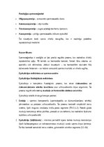 Konspekts 'Vīriešu reproduktīvās sistēmas anatomija: struktūra, funkcijas un dzimumu īpatnī', 12.