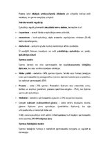 Konspekts 'Vīriešu reproduktīvās sistēmas anatomija: struktūra, funkcijas un dzimumu īpatnī', 13.