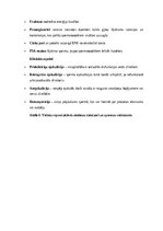 Konspekts 'Vīriešu reproduktīvās sistēmas anatomija: struktūra, funkcijas un dzimumu īpatnī', 14.