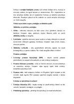 Konspekts 'Vīriešu reproduktīvās sistēmas anatomija: struktūra, funkcijas un dzimumu īpatnī', 18.