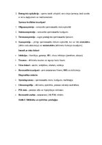 Konspekts 'Vīriešu reproduktīvās sistēmas anatomija: struktūra, funkcijas un dzimumu īpatnī', 19.