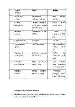 Konspekts 'Vīriešu reproduktīvās sistēmas anatomija: struktūra, funkcijas un dzimumu īpatnī', 24.