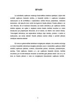 Referāts 'Uzņēmuma finanšu analīze', 3.