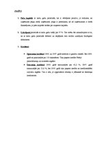 Referāts 'Uzņēmuma finanšu analīze', 13.