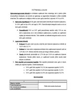 Referāts 'Uzņēmuma finanšu analīze', 14.