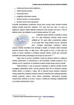 Referāts 'Kvalitāte un tās nozīme efektīvas uzņēmumu darbības nodrošināšanā', 29.