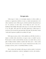 Referāts 'Referāts par naftu', 5.