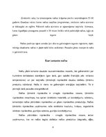 Referāts 'Referāts par naftu', 8.