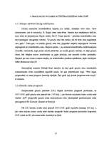 Referāts 'Graudaugu nozare un tās attīstība Latvijā', 17.