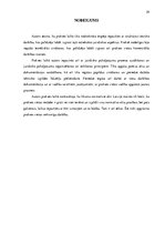 Prakses atskaite 'Prakses atskaite Zemessardzē', 29.