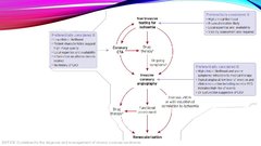 Prezentācija 'Stabilas koronāro artēriju slimības diagnostika', 17.