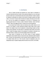 Biznesa plāns 'Beer Brand Royal Expanding It's Market in Canada', 15.