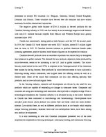 Biznesa plāns 'Beer Brand Royal Expanding It's Market in Canada', 48.