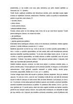 Konspekts 'Reklāma tas būtība, mērķi, uzdevumi, reklāmas klasifikācija. Reklāmas vadīšana', 5.