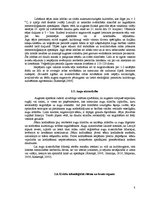 Referāts 'Vasaras kviešu agrotehnika, tās izmaksas un iegūtās produkcijas pārstrāde', 8.