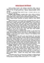 Referāts 'Ekoloģija', 2.