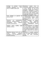 Konspekts 'Latviešu salīdzinājums 18.gadsimtā un mūsdienās', 2.