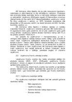 Referāts 'A/s "Valmieras stikla šķiedra" finanšu rādītāju novērtējums par 2006. - 2008.gad', 13.