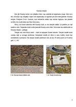 Referāts 'Romas imperatora Vespasiāna ieguldījums Senās Romas mākslā un arhitektūrā', 9.