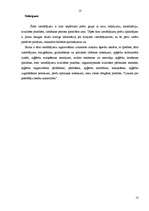 Referāts 'Gatavā produkcija un citi tekstila izstrādājumi', 13.