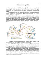 Prakses atskaite 'Prakse Silenes muitas kontroles punktā', 3.