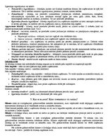 Konspekts 'Grāmatvedība', 4.