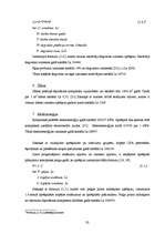 Diplomdarbs 'Investīciju novērtējums inovāciju projektā un ietekme uz uzņēmuma finansiālās da', 30.