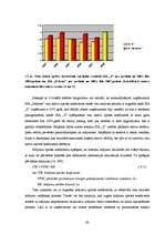 Diplomdarbs 'Investīciju novērtējums inovāciju projektā un ietekme uz uzņēmuma finansiālās da', 63.