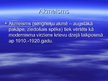 Prezentācija 'Akmeisms', 2.