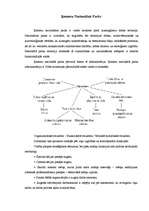 Konspekts 'Organizatorisko struktūru grafisks attēlojums', 2.