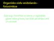 Prezentācija 'Organiskās vielas', 3.