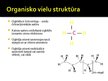 Prezentācija 'Organiskās vielas', 13.
