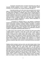 Referāts 'Fizioterapeita profesionālā darbība', 6.