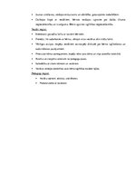 Eseja 'Kas jāņem vērā, sadarbojoties ar mūsdienu ģimeni?', 3.