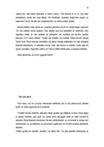 Referāts 'Biežāk sastopamie iemesli darbaspēka aizplūšanai uz ārzemēm', 16.