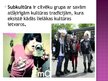 Prezentācija 'Cilvēks kultūrvides kontekstā', 6.