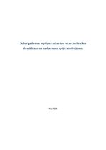 Referāts 'Sešus gadus un septiņus mēnešus vecas meitenītesdomāšanas un saskarsmes spēju no', 1.