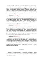 Referāts 'Sešus gadus un septiņus mēnešus vecas meitenītesdomāšanas un saskarsmes spēju no', 3.