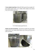 Diplomdarbs 'Kvalitātes kontrole Rūjienas krējuma saldējuma rozīņu "Lukss" ražošanā', 39.