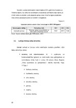 Referāts 'Trešās kategorijas kempinga izveide Salacgrīvas novadā', 25.