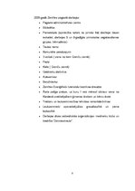 Prakses atskaite 'Prakses mape. Kultūras pasākuma organizēšana', 8.