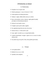 Referāts 'Autotransporta attīstības vēsture', 17.