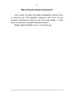 Referāts 'Īpašuma tiesības', 12.