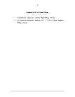 Referāts 'Īpašuma tiesības', 14.