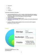 Konspekts 'Asinsrites pārmaiņas fiziskās slodzes ietekmē', 2.
