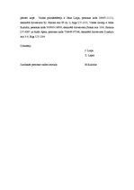 Paraugs 'SIA "Pērle" dibināšanas līgums', 2.