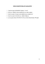 Referāts 'Volejbola vēsture', 12.