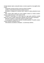 Konspekts 'Liece', 5.